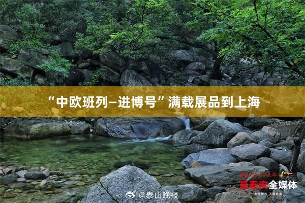 “中欧班列—进博号”满载展品到上海