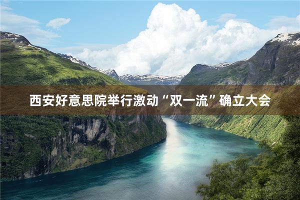 西安好意思院举行激动“双一流”确立大会