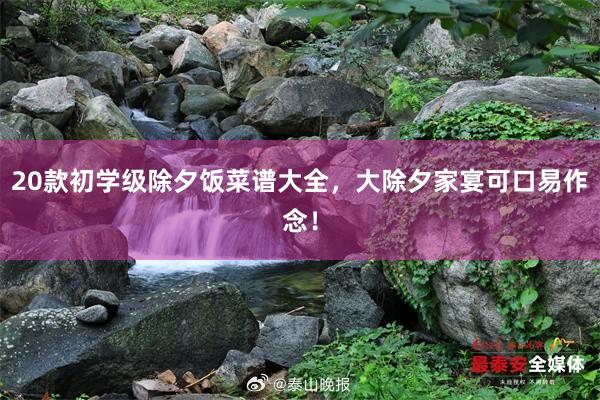 20款初学级除夕饭菜谱大全，大除夕家宴可口易作念！