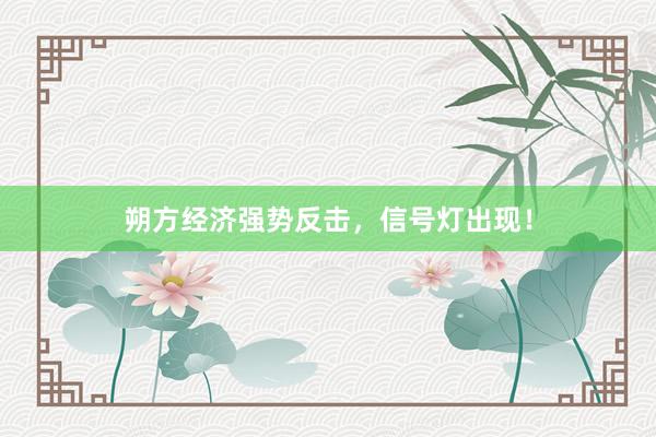 朔方经济强势反击，信号灯出现！