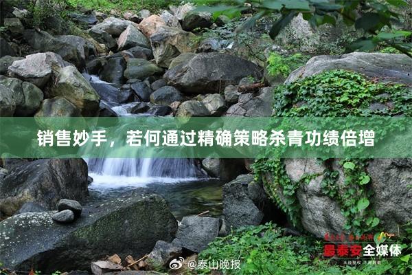 销售妙手，若何通过精确策略杀青功绩倍增