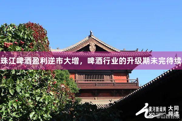 珠江啤酒盈利逆市大增，啤酒行业的升级期未完待续