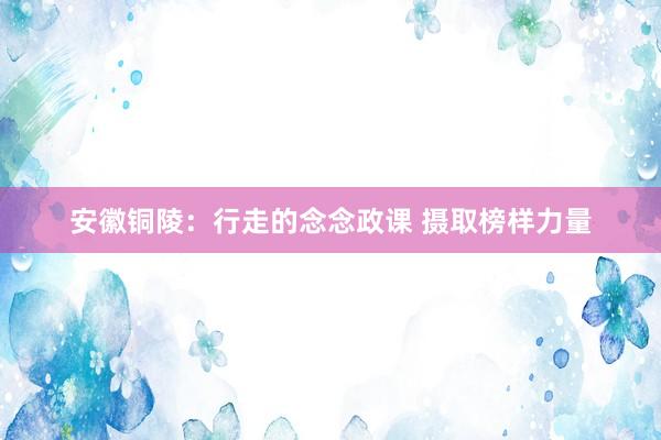 安徽铜陵：行走的念念政课 摄取榜样力量
