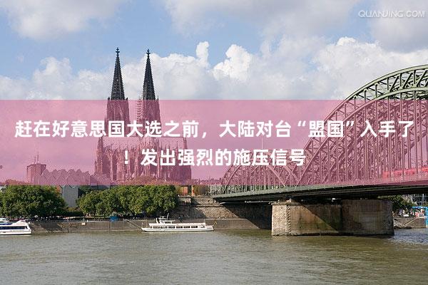 赶在好意思国大选之前，大陆对台“盟国”入手了！发出强烈的施压信号