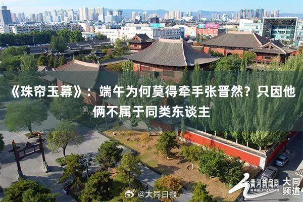 《珠帘玉幕》：端午为何莫得牵手张晋然？只因他俩不属于同类东谈主