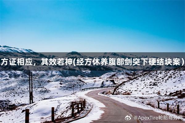 方证相应，其效若神(经方休养腹部剑突下硬结块案）