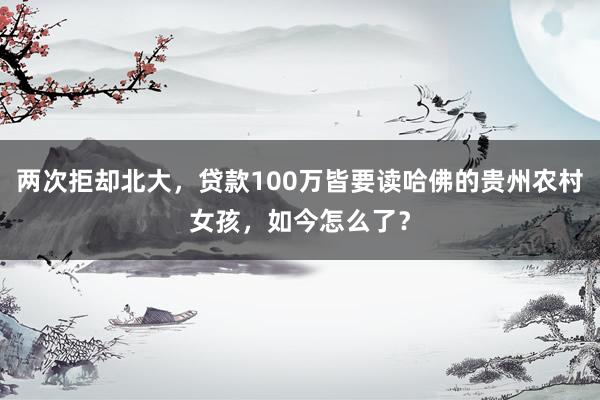 两次拒却北大，贷款100万皆要读哈佛的贵州农村女孩，如今怎么了？