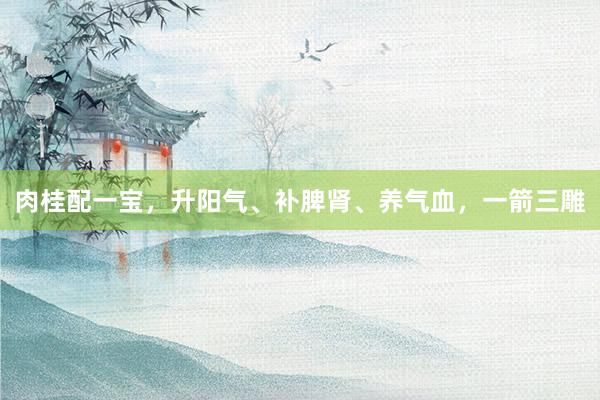 肉桂配一宝，升阳气、补脾肾、养气血，一箭三雕