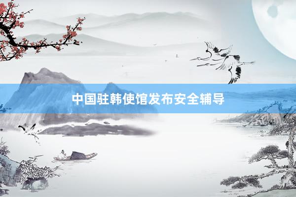 中国驻韩使馆发布安全辅导