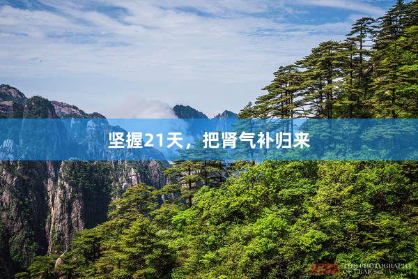坚握21天，把肾气补归来