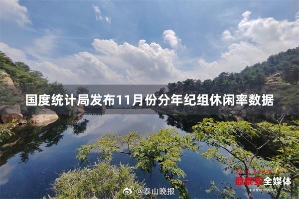国度统计局发布11月份分年纪组休闲率数据