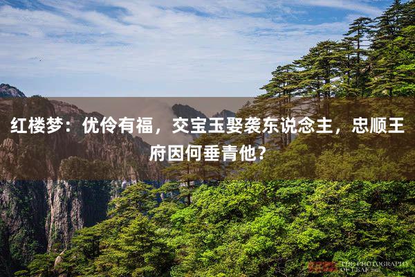 红楼梦：优伶有福，交宝玉娶袭东说念主，忠顺王府因何垂青他？