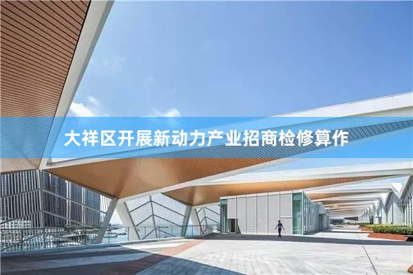 大祥区开展新动力产业招商检修算作