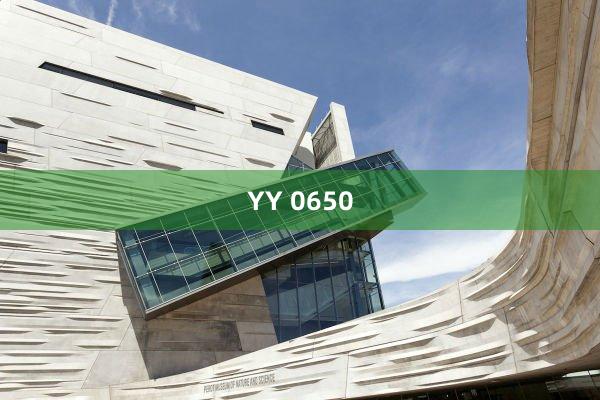 YY 0650